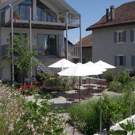 Le Coq Chantant Studios D'Hotes & Boutique Hotel St-Livres Saint-Livres Kültér fotó